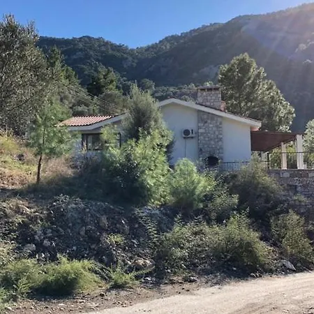 빌라 Olive Villa
