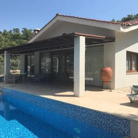 빌라 Olive Villa *