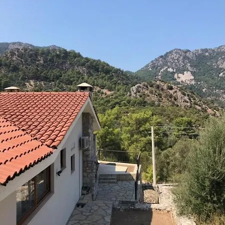 Olive Villa 빌라