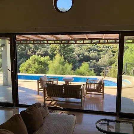 빌라 Olive Villa *