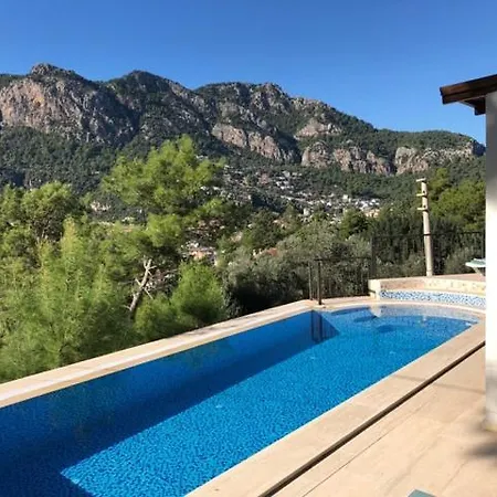 Olive Villa
